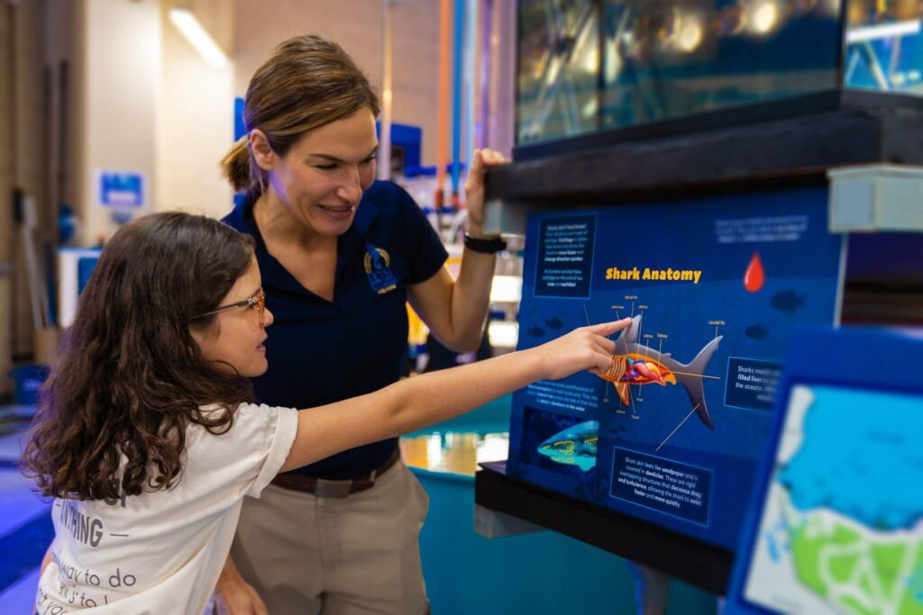 1920 sharkspecialist fishhospital sharkanatomy 1024x683