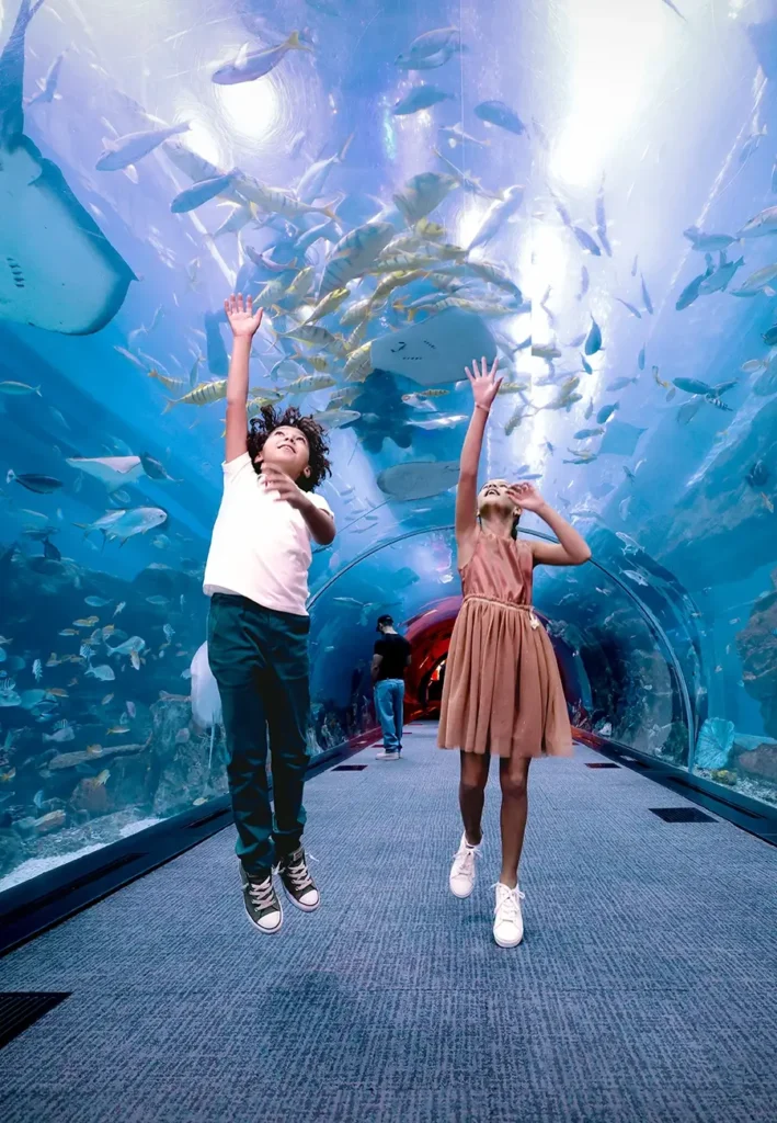 About 73A8827 900x1300 709x1024