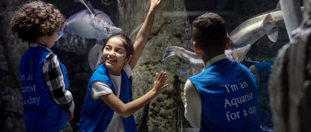 Dubai Aquarium 1 1024x437