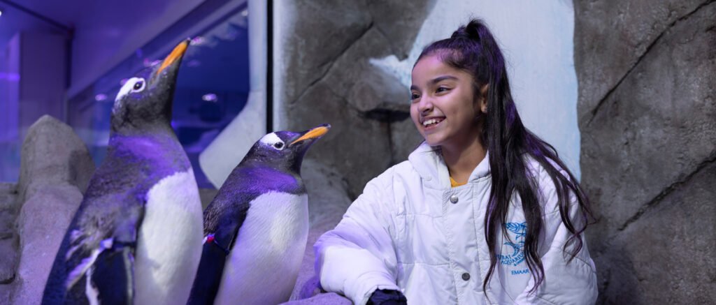 Dubai Aquarium 2 1024x437