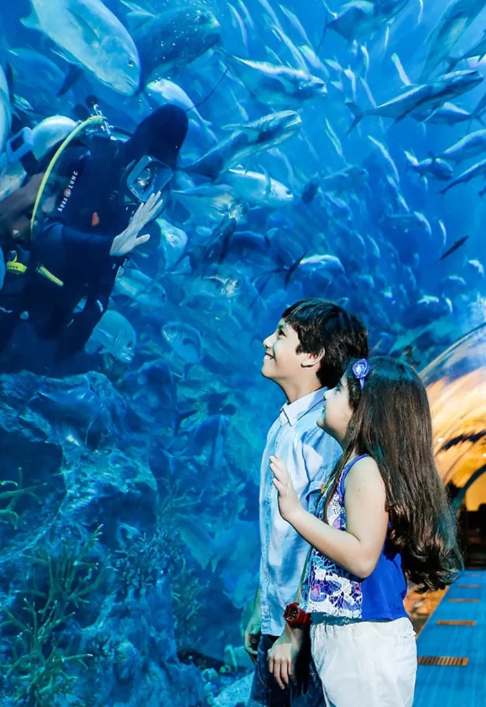 Dubai Aquarium Tunnel Diver 1 704x1024