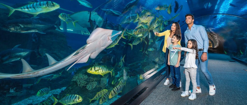 DubaiAquarium 1 1024x437