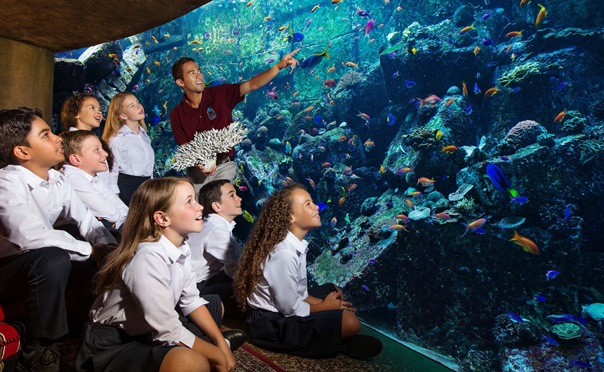 Early Explorers Programme 1