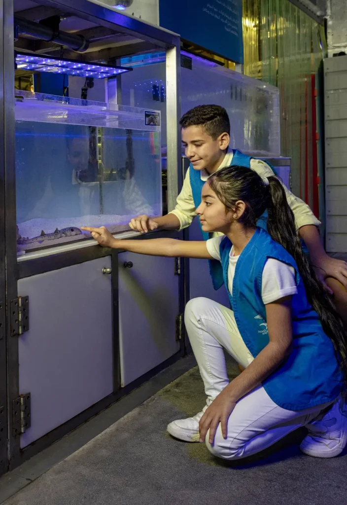 PA 2479 1100x1600 704x1024