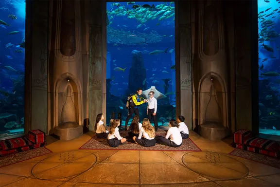 School Programmes Main Hero