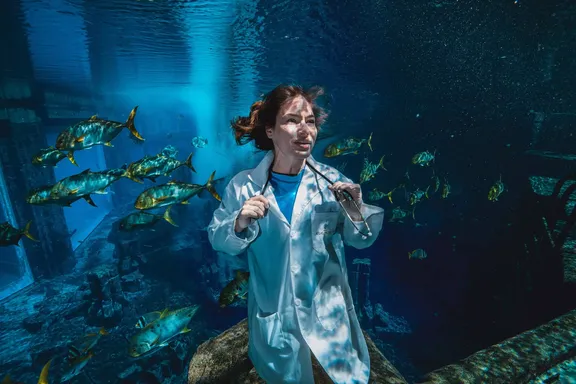 atlantis atlas project hero